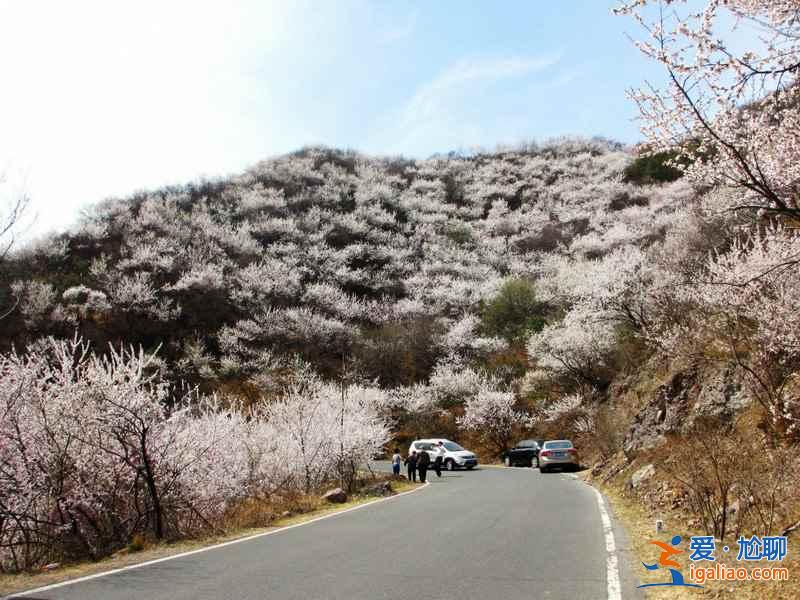 北京周邊自駕游：四五月自駕京郊公路最合適！？