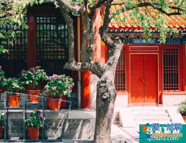 故宮元旦開放嗎 故宮1月1號開放嗎？