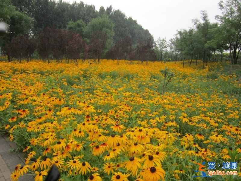 北京周邊自駕游：四五月自駕京郊公路最合適??？