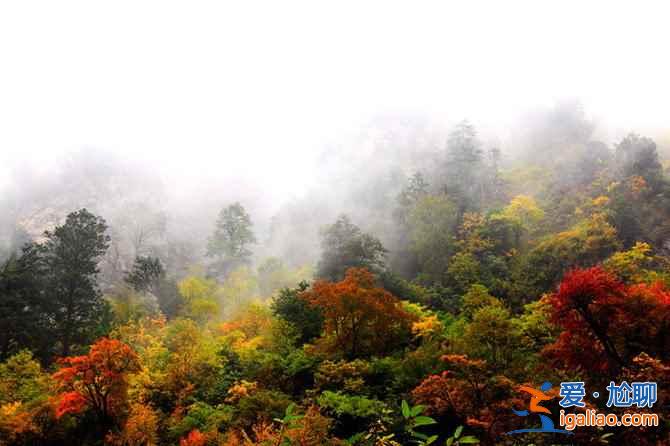 【米亞羅紅葉】2017四川米亞羅紅葉門票、最佳攝影時間、交通指南？
