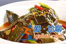 甲魚的做法大全？
