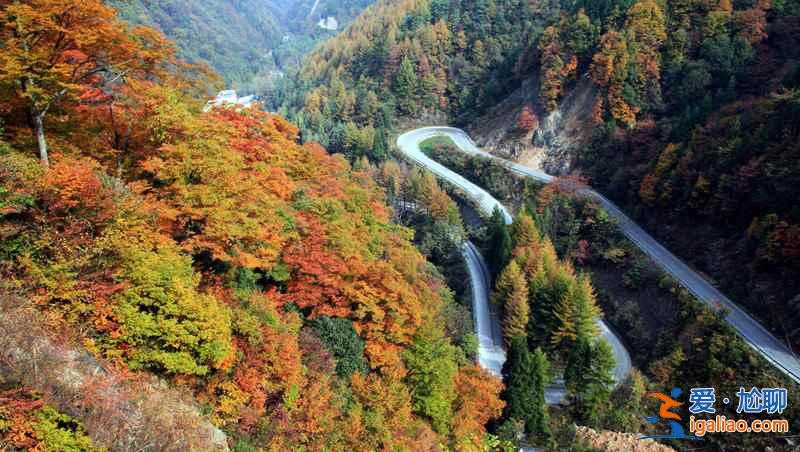 光霧山幾月看紅葉,光霧山國(guó)慶有紅葉嗎? 光霧山幾月看紅葉,光霧山國(guó)慶有紅葉嗎?