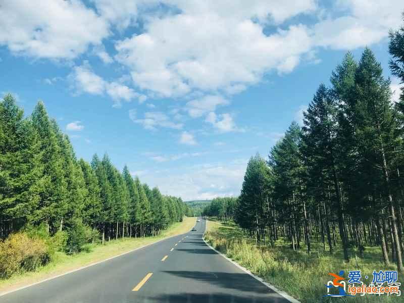 北京到塞罕壩自駕路線，北京到塞罕壩多少公里？