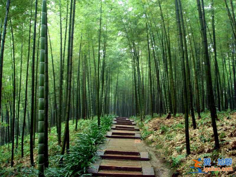重慶周末自駕游好去處，重慶周末自駕游路線，重慶周末自駕游攻略？
