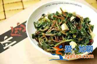 馬蜂菜的幾種吃法? 馬蜂菜的幾種吃法?