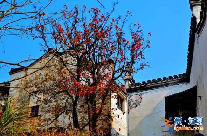 2018婺源紅葉情報:婺源紅葉觀賞時間、最佳地點、攝影指南? 2018婺源紅葉情報:婺源紅葉觀賞時間、最佳地點、攝影指南?