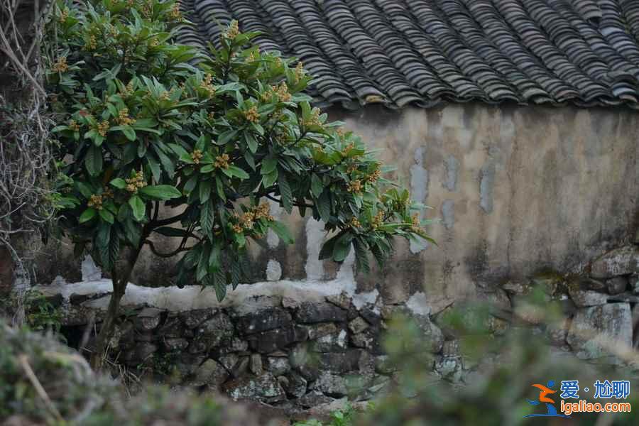 春末夏初自駕游,此時剛剛好!這條路線實在太美!? 春末夏初自駕游,此時剛剛好!這條路線實在太美!?
