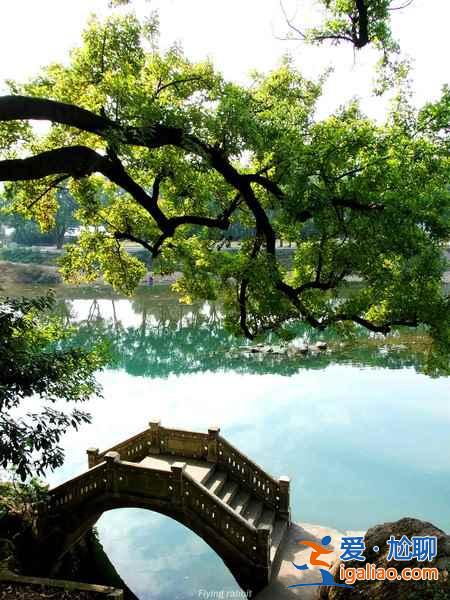 春末夏初自駕游,此時剛剛好!這條路線實在太美!? 春末夏初自駕游,此時剛剛好!這條路線實在太美!?