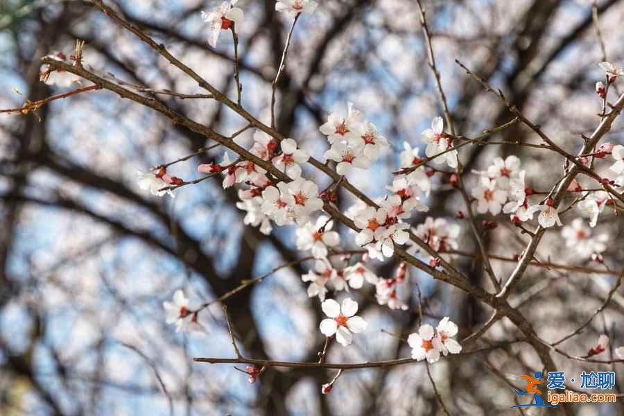 成都周邊自駕游好去處,成都周邊自駕游推薦,成都周邊自駕游攻略? 成都周邊自駕游好去處,成都周邊自駕游推薦,成都周邊自駕游攻略?