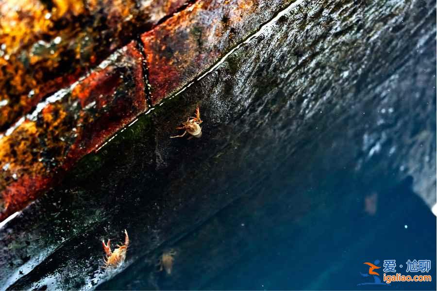 春末夏初自駕游,此時剛剛好!這條路線實在太美!? 春末夏初自駕游,此時剛剛好!這條路線實在太美!?