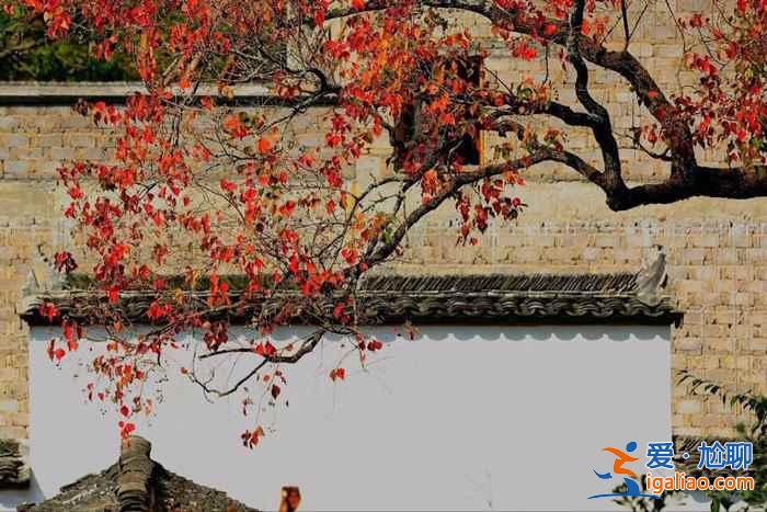 2018婺源紅葉情報:婺源紅葉觀賞時間、最佳地點、攝影指南? 2018婺源紅葉情報:婺源紅葉觀賞時間、最佳地點、攝影指南?