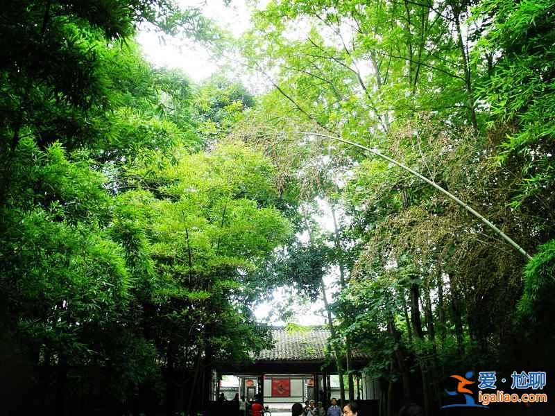 成都到新津多少公里，成都到新津自駕路線？