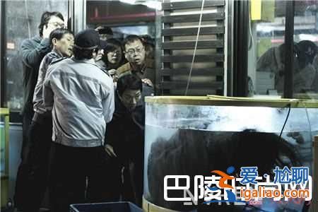 《漢江怪物》恐怖災難片好看嗎?? 《漢江怪物》恐怖災難片好看嗎??