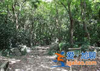 【中國免簽證國家】2018中國免簽證國家,對中國免簽證的國家有哪些? 【中國免簽證國家】2018中國免簽證國家,對中國免簽證的國家有哪些?