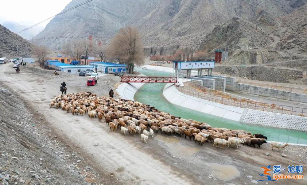新疆多地公布冬季轉場進展 要求強降雪考驗下確保安全? 新疆多地公布冬季轉場進展 要求強降雪考驗下確保安全?