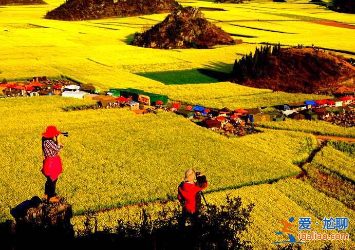 國內3月景色最美的地方，3月去哪里旅游好？