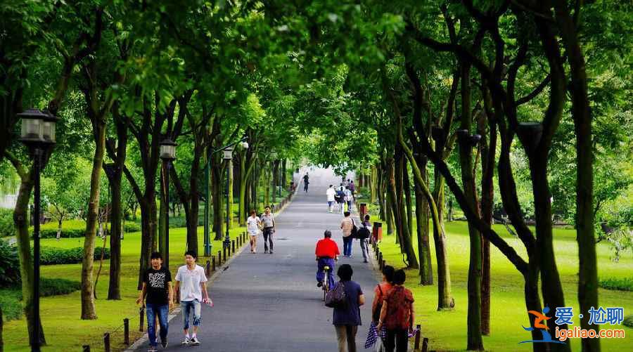 國內3月景色最美的地方，3月去哪里旅游好？