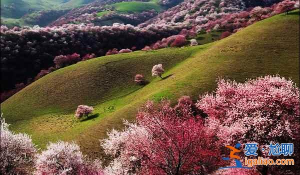 2017新疆杏花溝旅游,杏花溝旅游攻略,杏花溝旅游攻略? 2017新疆杏花溝旅游,杏花溝旅游攻略,杏花溝旅游攻略?