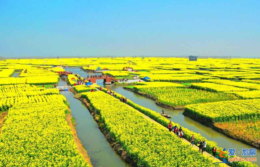 國內3月景色最美的地方，3月去哪里旅游好？