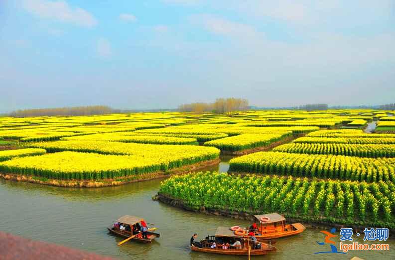 國內3月景色最美的地方，3月去哪里旅游好？