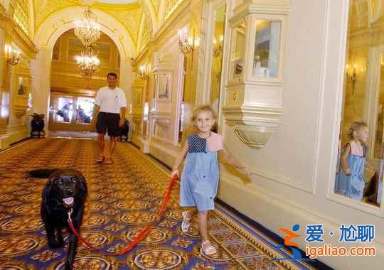 【允許動物入住的酒店】帶上寵物去旅行？