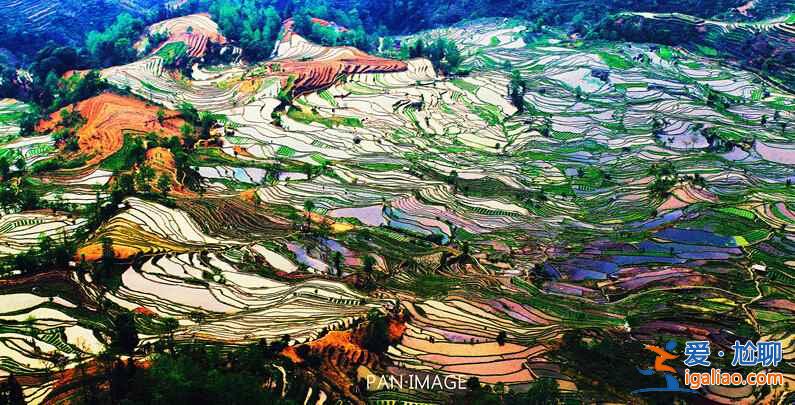 國內3月景色最美的地方，3月去哪里旅游好？