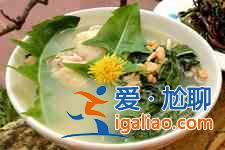 婆婆丁的吃法？