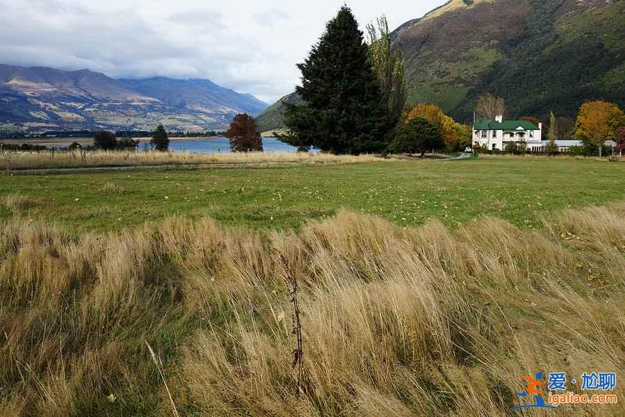 新西蘭簽證好辦嗎，新西蘭簽證如何辦理，新西蘭簽證辦理攻略？