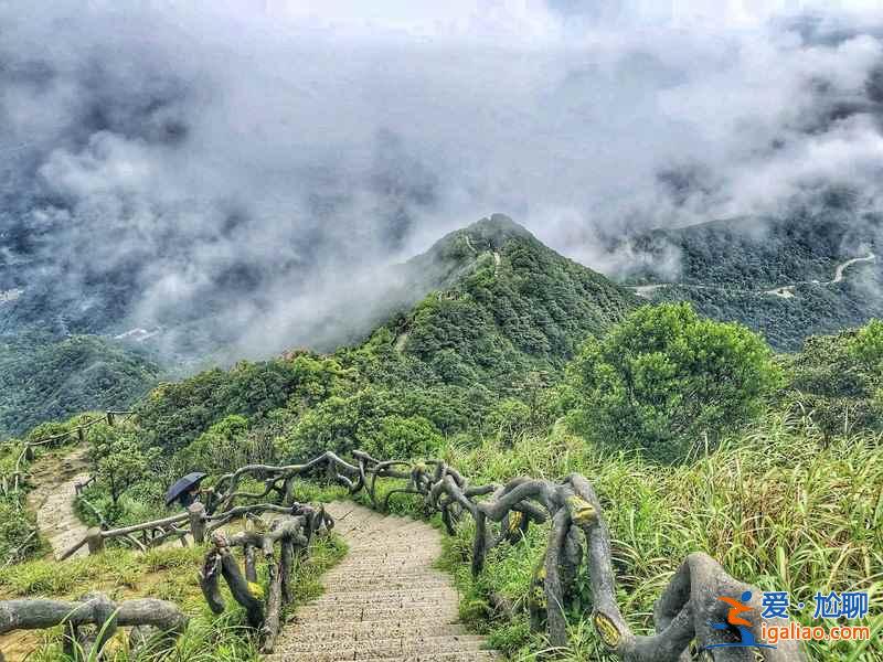深圳梧桐山徒步怎么走,深圳梧桐山經典徒步路線,深圳梧桐山徒步攻略? 深圳梧桐山徒步怎么走,深圳梧桐山經典徒步路線,深圳梧桐山徒步攻略?