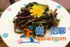 婆婆丁的吃法？