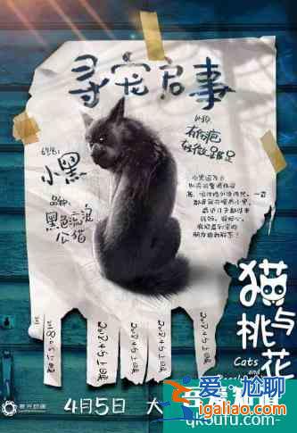 電影《貓與桃花源》“尋寵”版海報(bào)出爐，形象可愛萌翻貓圈？