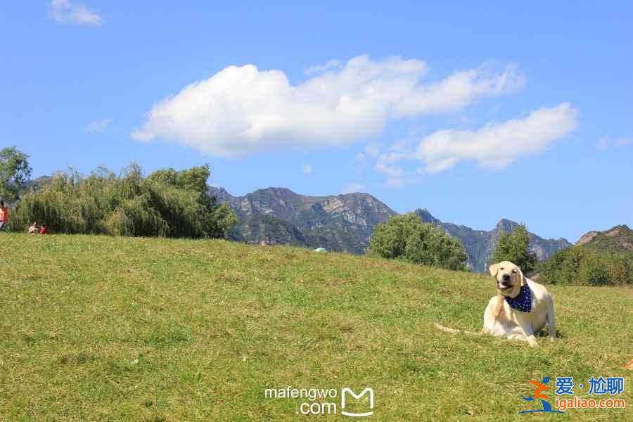 延慶玉渡山，北京夏天最涼快的地方！？