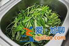 蝦醬空心菜的做法？