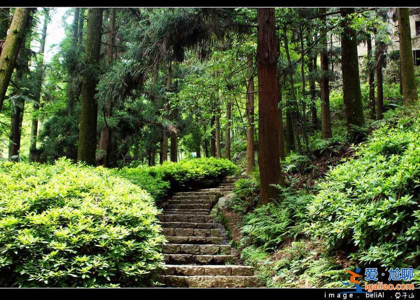 夏天去哪里旅游涼快,夏天去哪里旅游不熱? 夏天去哪里旅游涼快,夏天去哪里旅游不熱?