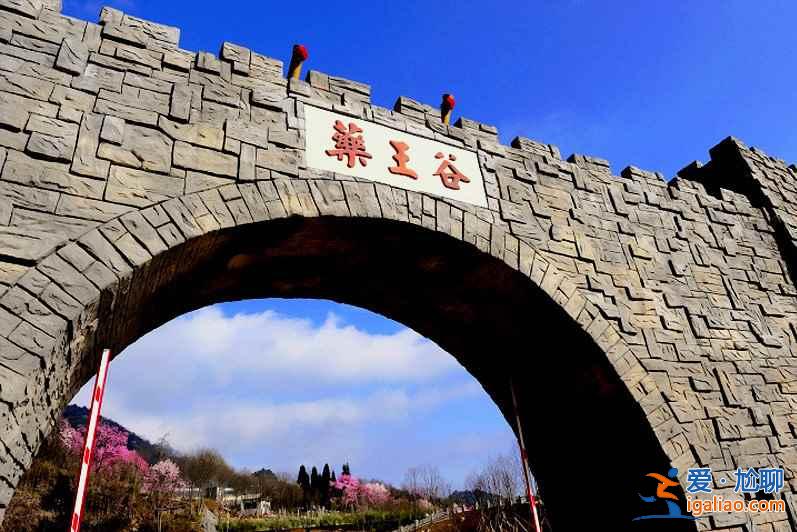 北川藥王谷的春天：一個比日本櫻花更美的地方？