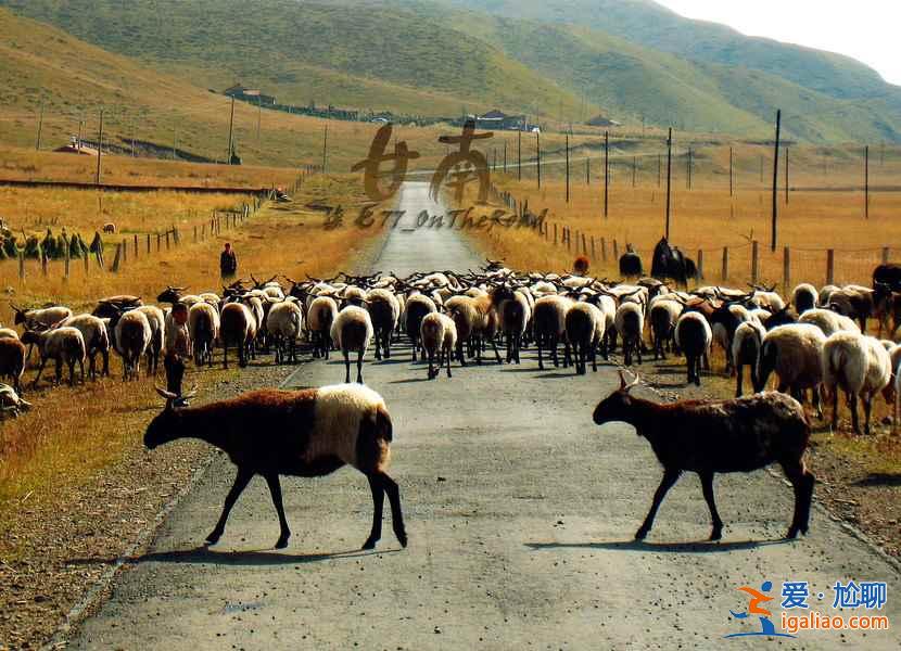 中國最美自駕游路線，自駕游哪些地方好玩？