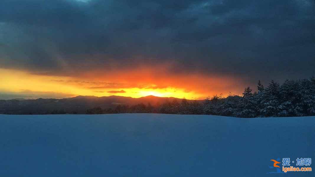 何必苦苦等下雪，去世界上降雪量最大的城市旅行玩雪??？