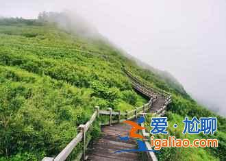 2018最適合夏季旅游的城市推薦，2018夏季去哪里旅游最好？