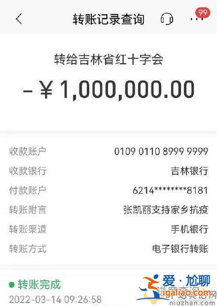 張凱麗低調(diào)捐款100萬支援家鄉(xiāng)吉林抗疫，正能量滿滿