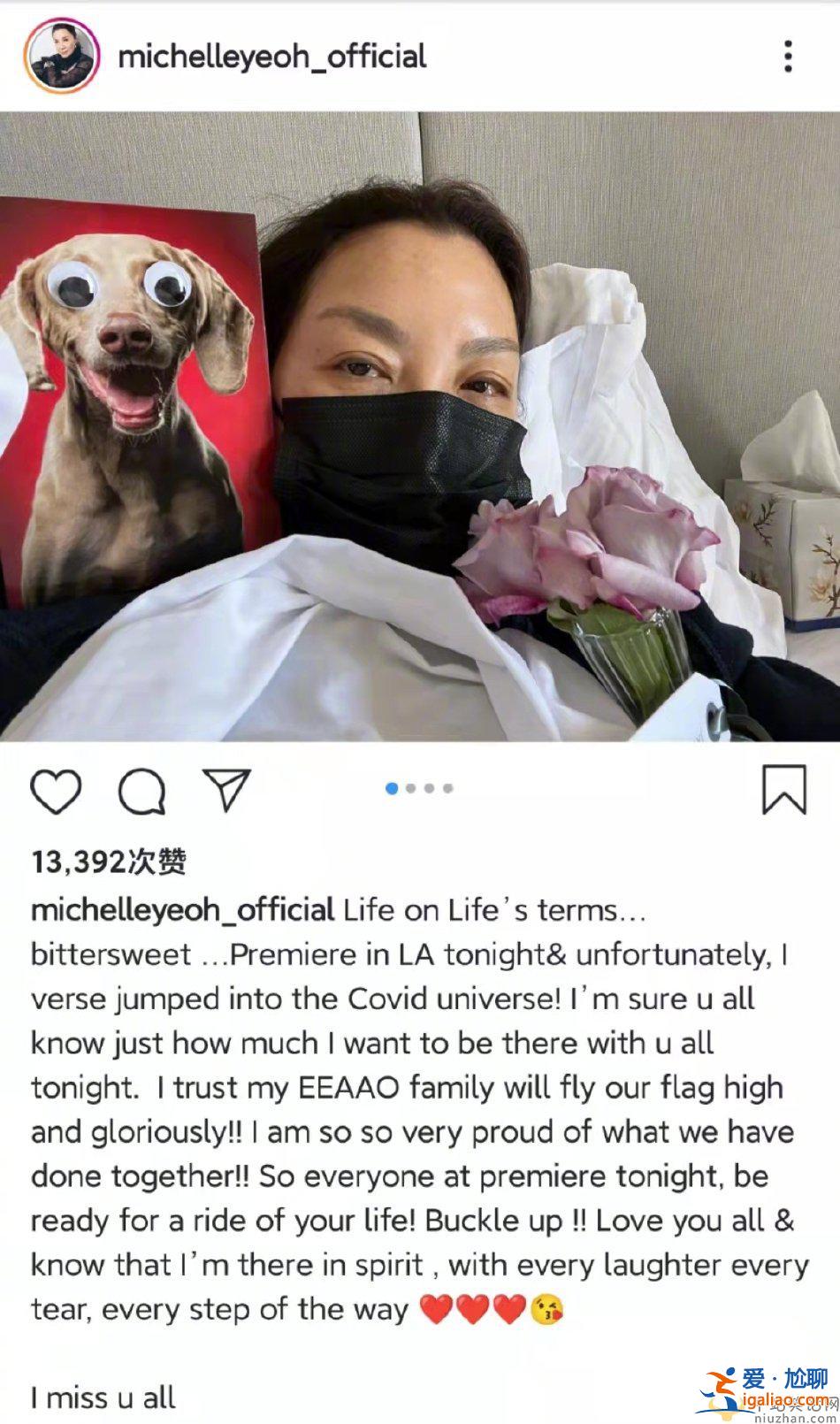 演員楊紫瓊發文透露自己確診感染新冠 人在國外 演員楊紫瓊發文透露自己確診感染新冠 人在國外