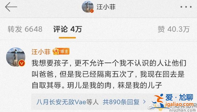 小S頻繁激怒汪小菲，汪小菲霸氣回懟！網友：到底退沒退圈？