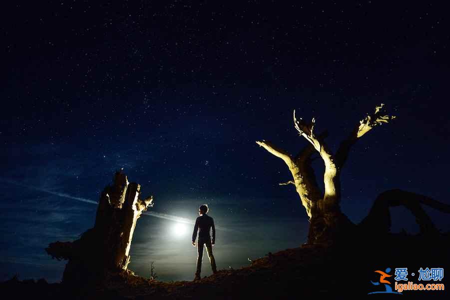 【胡楊林在什么地方】國內四大胡楊林景區？