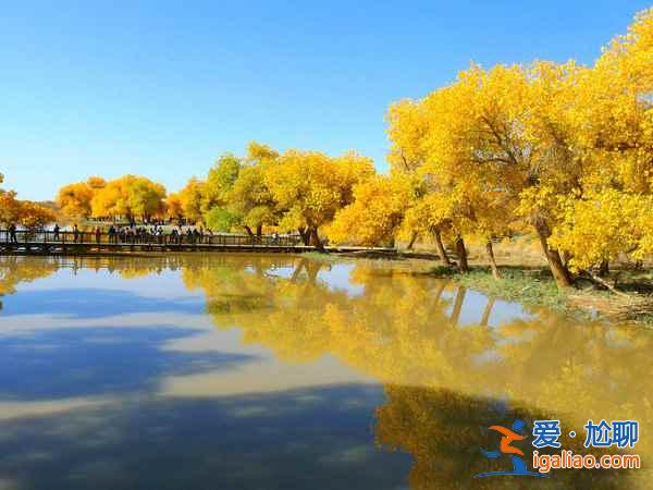 【胡楊林在什么地方】國內四大胡楊林景區？