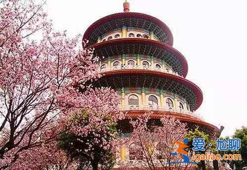 北京春天去哪里賞花？2018北京春季賞花全攻略？