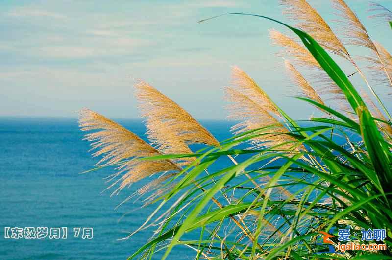 東極島最佳旅游時間倒計時,9月、10月魚肥蟹滿? 東極島最佳旅游時間倒計時,9月、10月魚肥蟹滿?