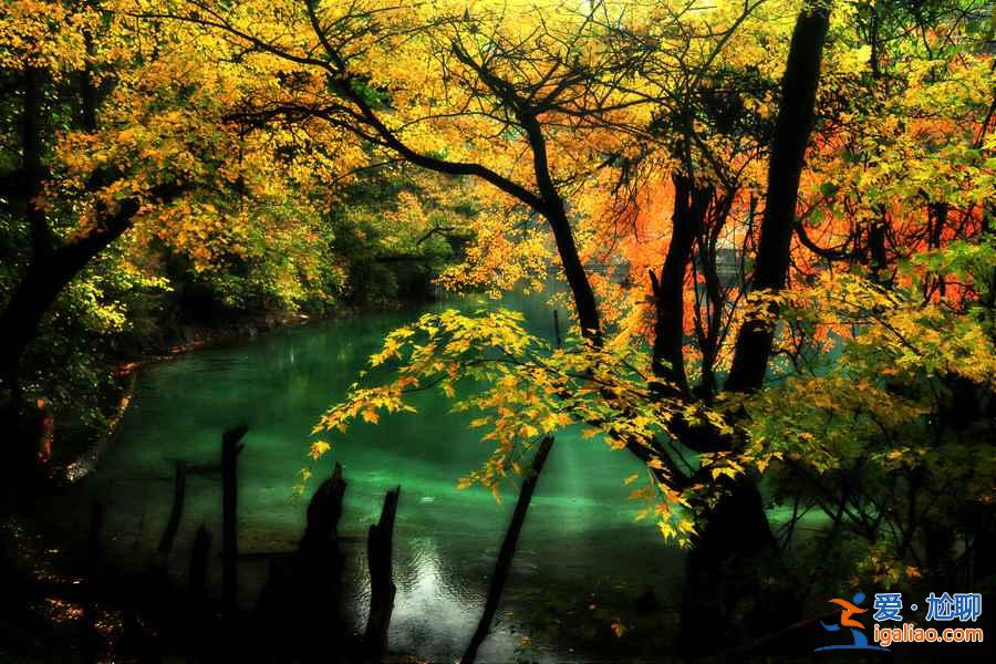 【五一去九寨溝】2019五一去九寨溝穿什么,五一去九寨溝怎么樣? 【五一去九寨溝】2019五一去九寨溝穿什么,五一去九寨溝怎么樣?