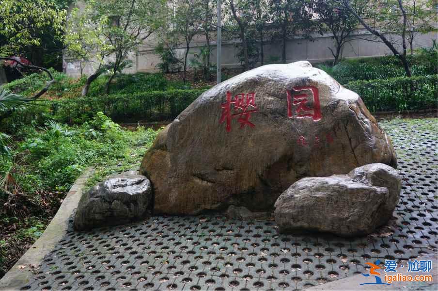 春天適合去哪里旅游，春天去哪里旅游好，春天旅游攻略？