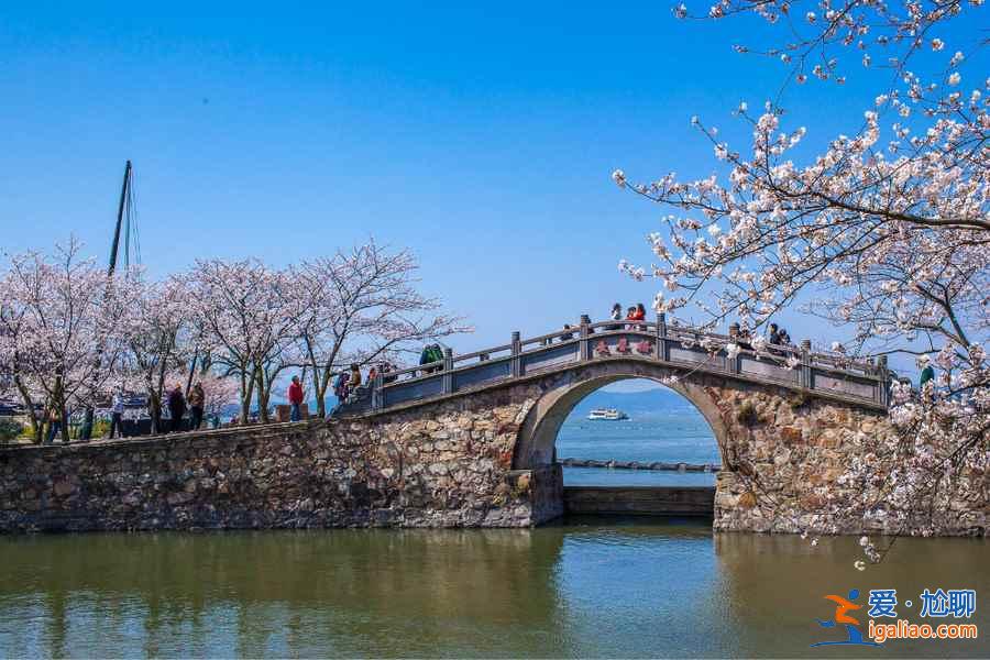 春天哪里好玩？8大國內踏春旅游好去處？