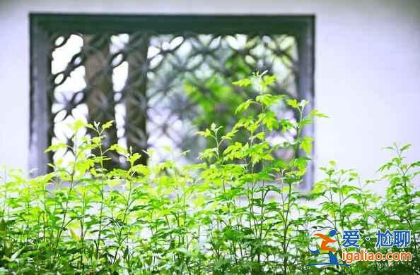 3、4月出游,人少景美的好地方!? 3、4月出游,人少景美的好地方???
