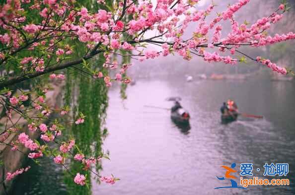 3、4月出游,人少景美的好地方??? 3、4月出游,人少景美的好地方!?